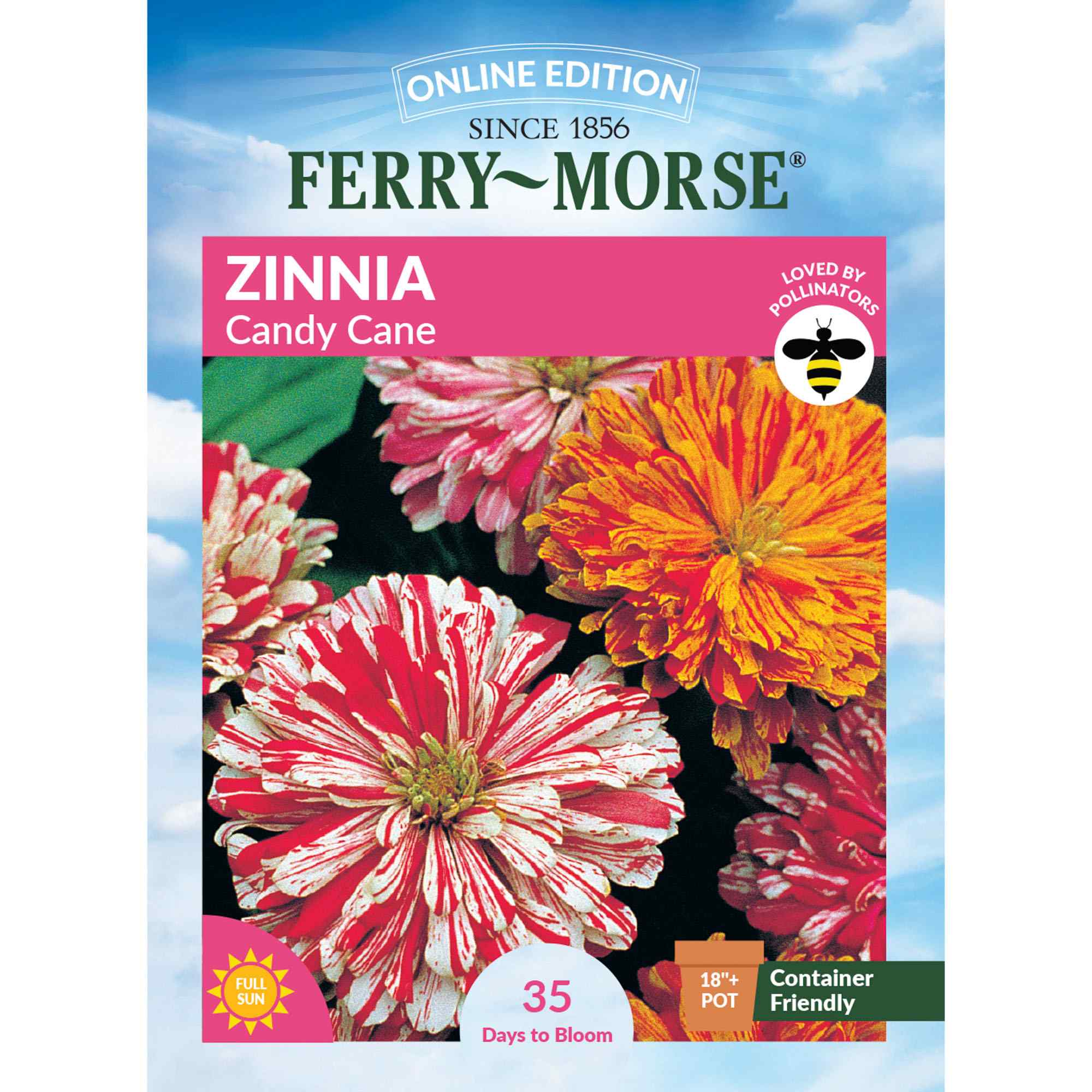 Zinnia Candy Cane Front of Packaging